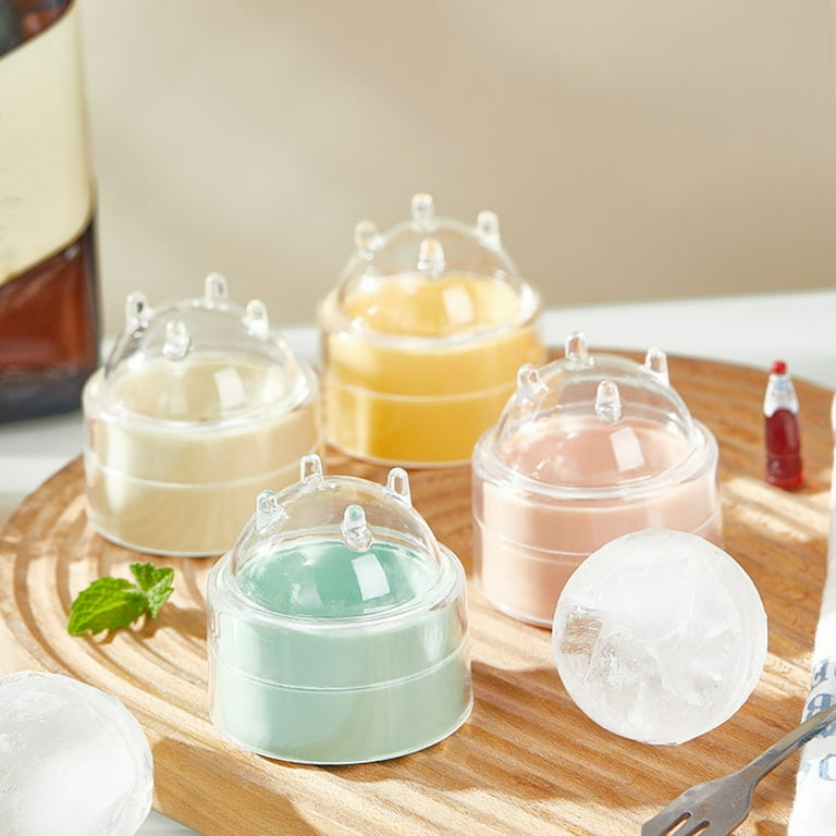 Acrylic Ice Popsicle Mold (4Pcs)