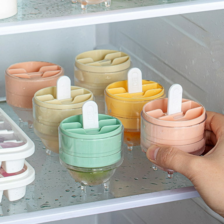 Acrylic Ice Popsicle Mold (4Pcs)