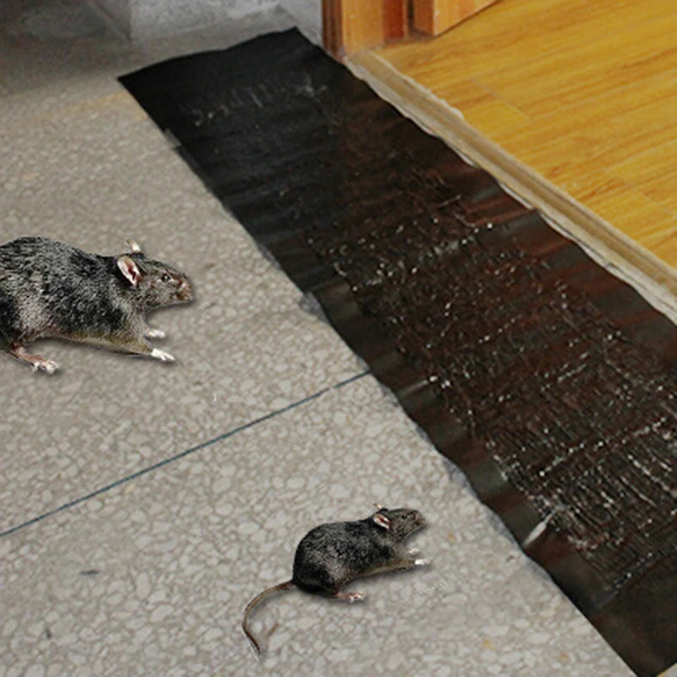 Mouse Trap Carpet