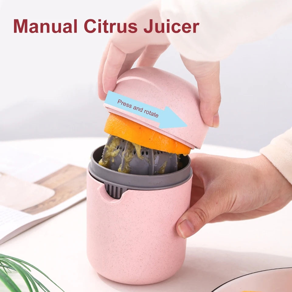 Mini Diy Manual Fruit Juicer