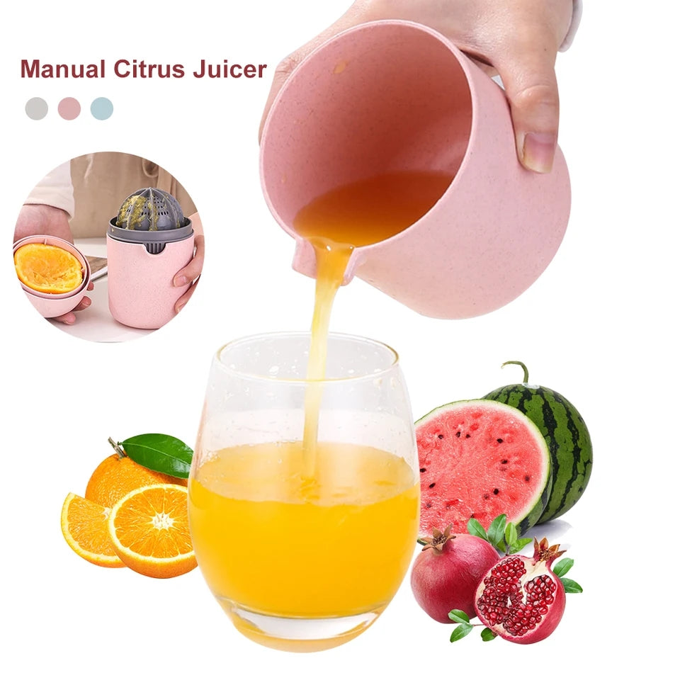 Mini Diy Manual Fruit Juicer