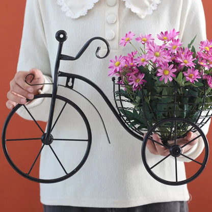 Wall Mounted Retro Metal Bicycle Flower Basket