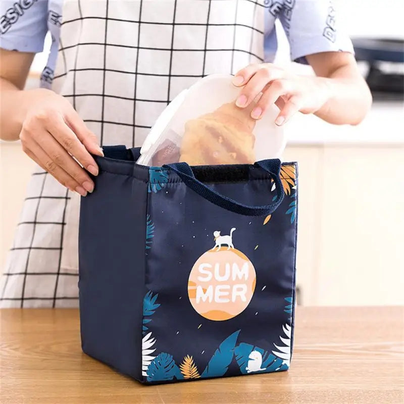 Portable Insulated Food Bag