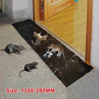 Mouse Trap Carpet