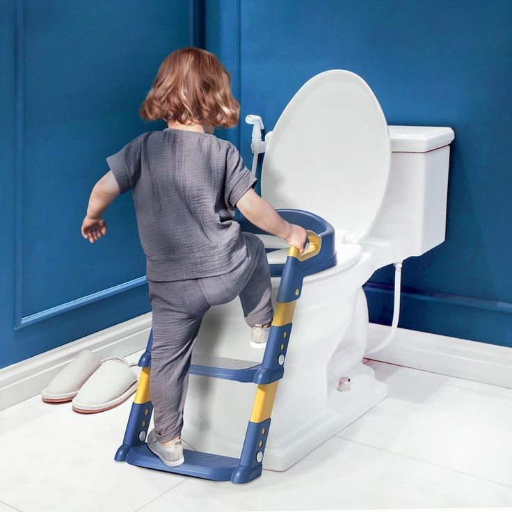 Toilet Step Potty Training Sitter