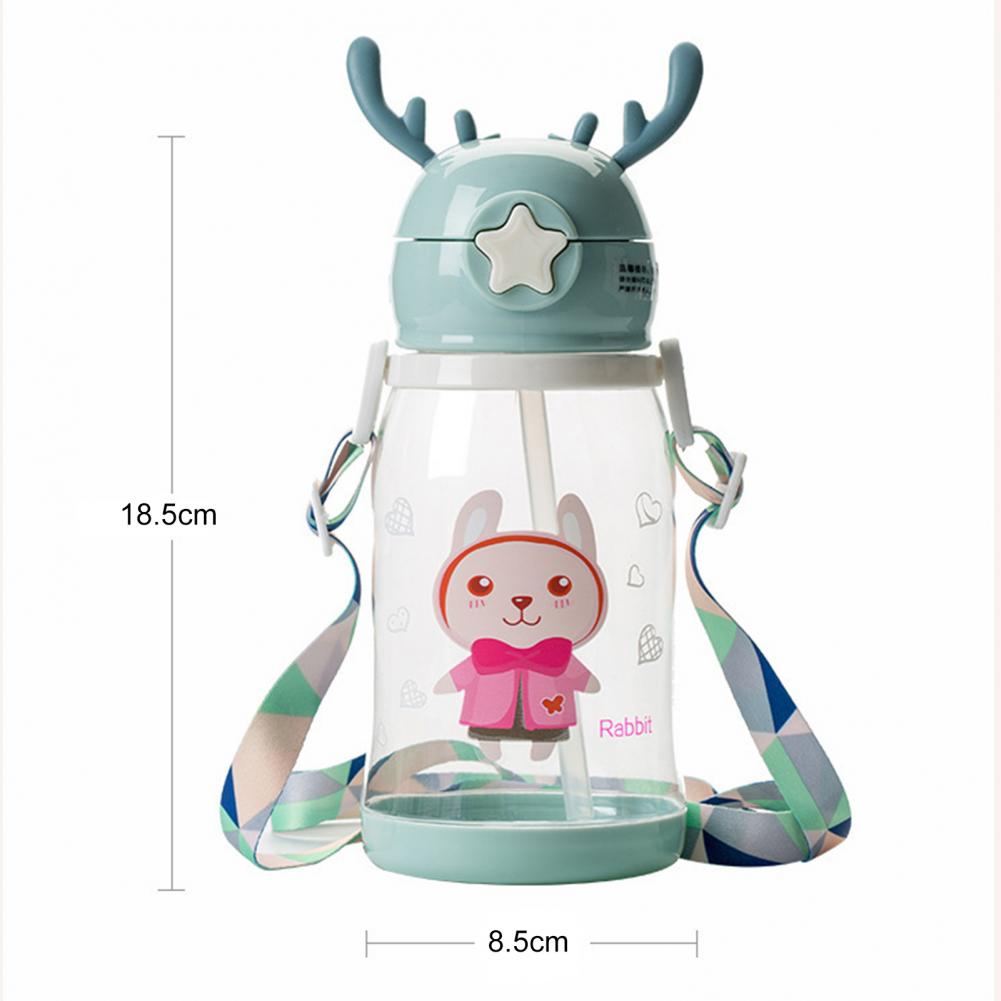 Straw Water Bottle (600ML)