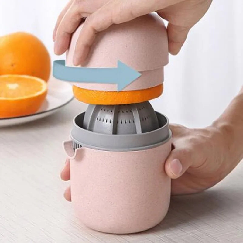 Mini Diy Manual Fruit Juicer