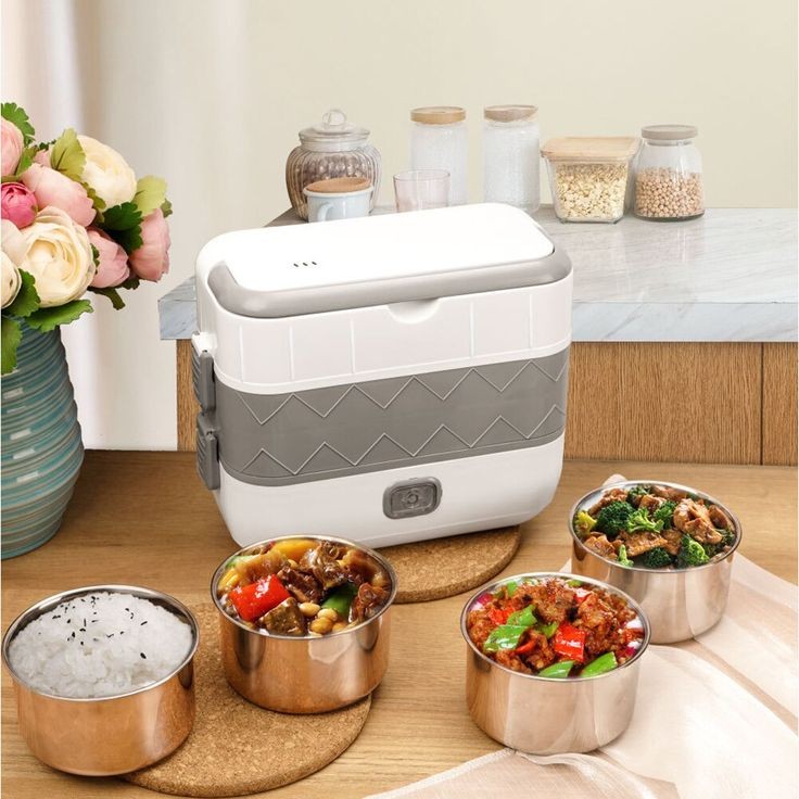 2 Layer Portable Electric Lunch Box