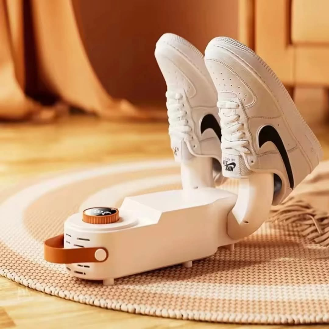 Intelligent Electric Shoe Dryer Machine