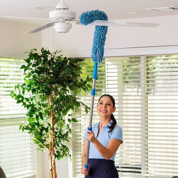 Flexible Dusting Brush