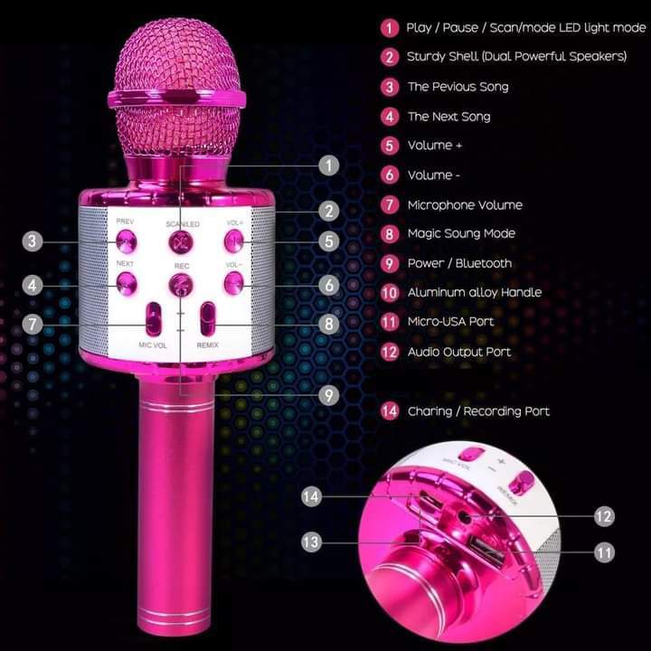 Mic With Bluetooth Speaker