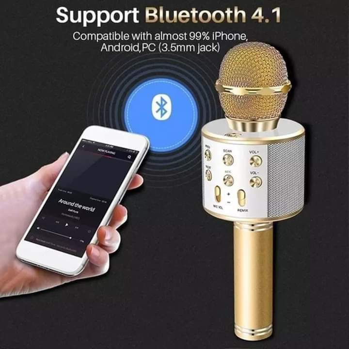 Mic With Bluetooth Speaker