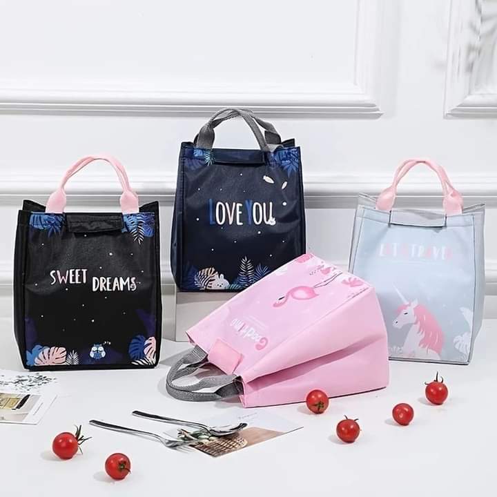 Portable Insulated Food Bag