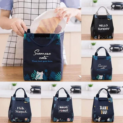 Portable Insulated Food Bag