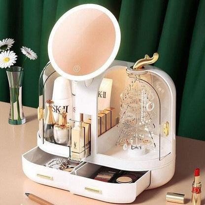 Desktop Led Double Door Cosmetics Organizer