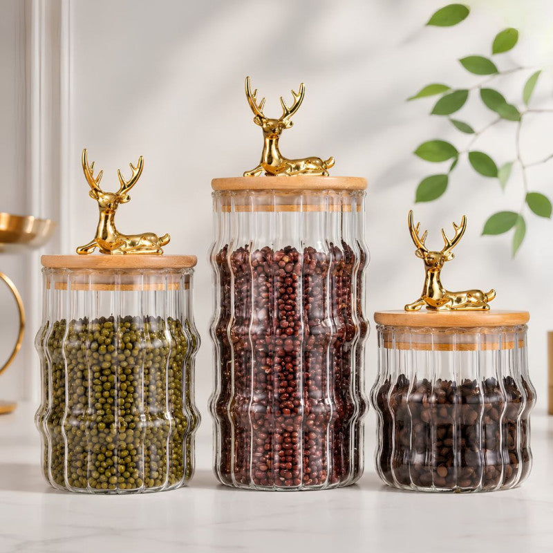 Elegant 3Pcs Glass Jars Set Kitchen Storage Container