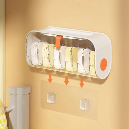 WallMounted Undergarments Storage Organizer