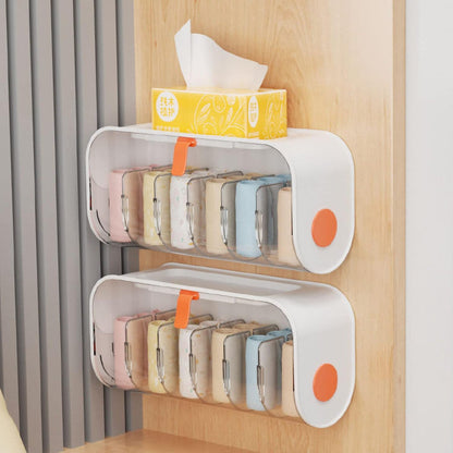 WallMounted Undergarments Storage Organizer