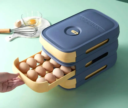 Egg Storage Box